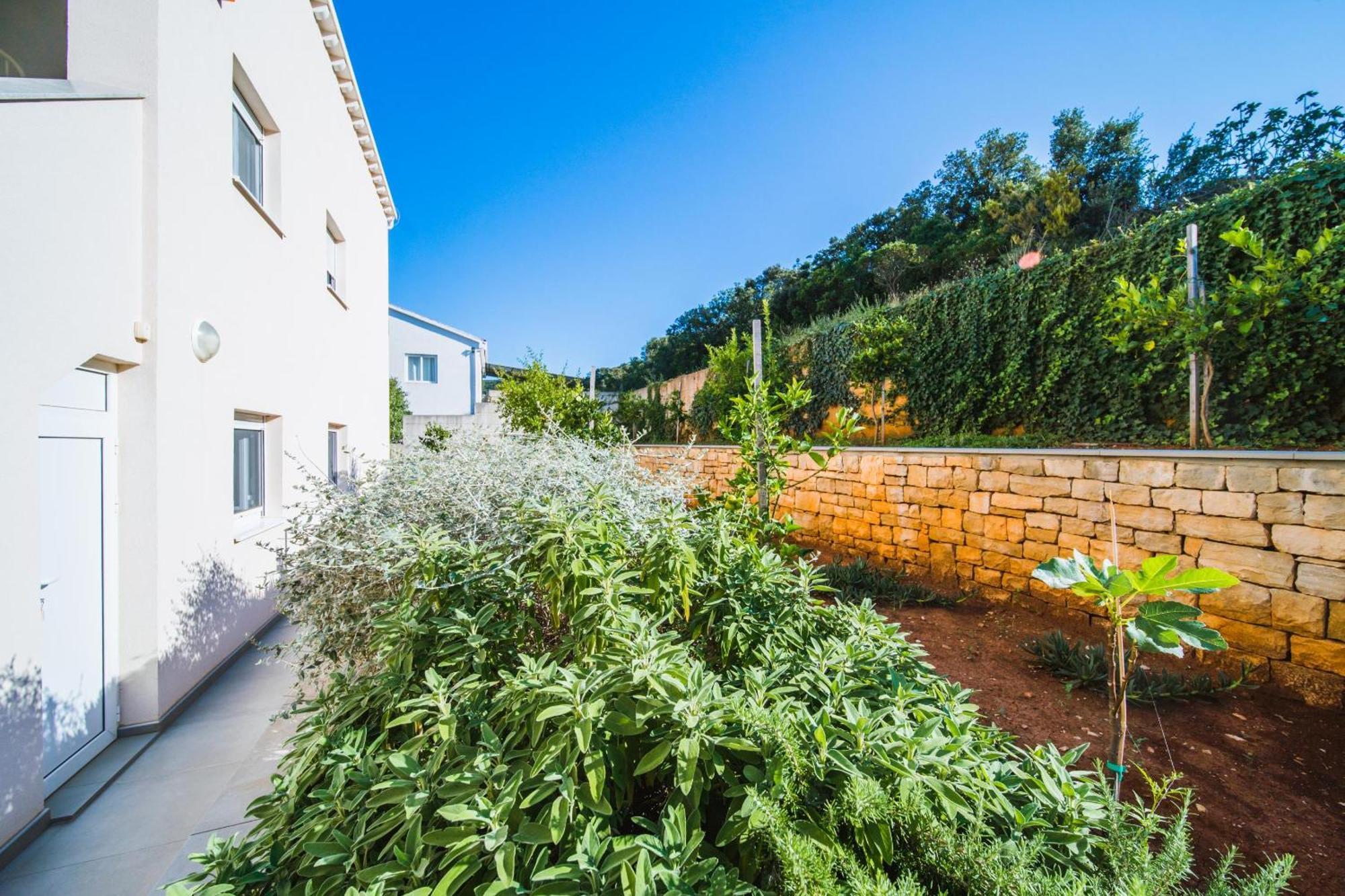 Villa Teuta コルチュラ エクステリア 写真